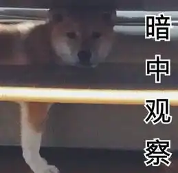 快拿掉表情包哈哈哈