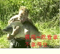  铁杆股民聊天必备经典表情包在此,请查收