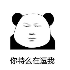  怎么玩猫才好玩怎么拍猫