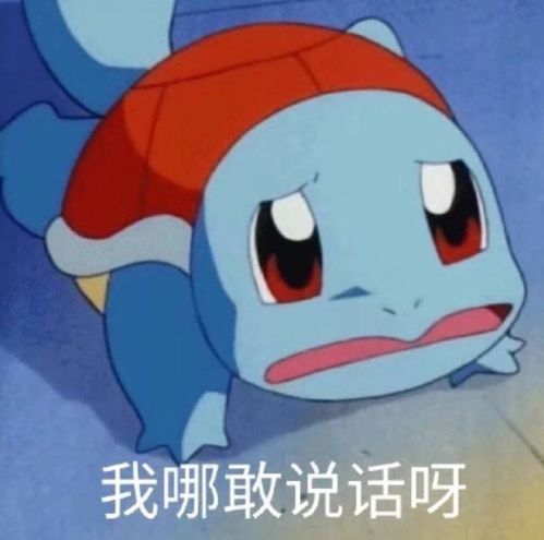 小鹦鹉表情包q版杰尼龟