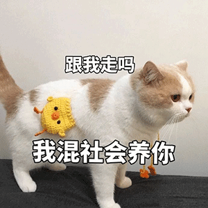  斗图表情包减肥嘛重在参与