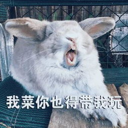  你不卸载我卸载好吗,你能换个游戏玩吗谢谢