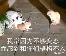  等边直角三角形的胸现在的硬核网文真是要笑死我