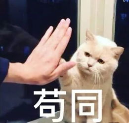  谁说夏天一定会黑那是你没有用这些好物