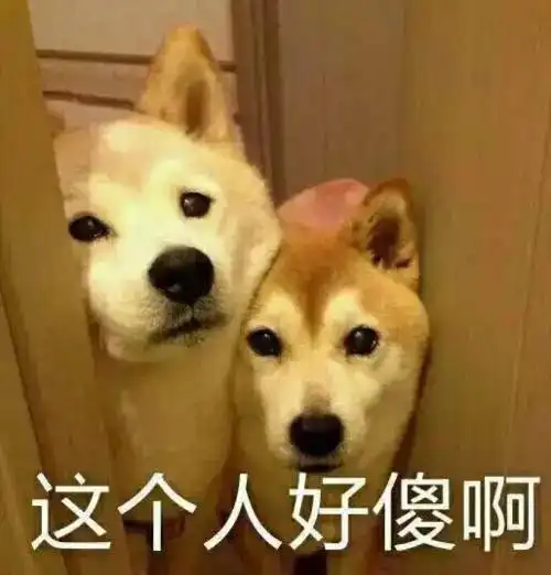 除了捐栋楼,国际生想上常青藤盟校其实还有一个方法 除了捐栋楼,国际生想上常青藤盟校其实还有一个方法