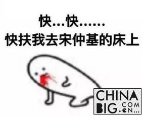 跪安表情包意思求婚
