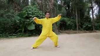  2008全国太极拳比赛