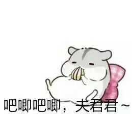  要仓鼠掉瓜子的表情