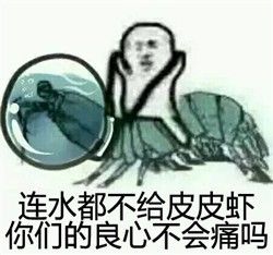 说走咱就走表情包皮皮虾