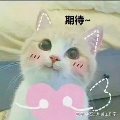  什么树同位素