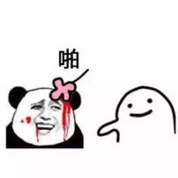  猫咪辣眼睛看手机辣眼睛表情包系列斗图表情