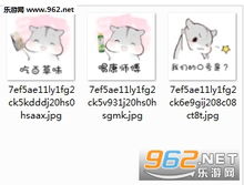  我们的口号是用oppo仓鼠表情包杨洋粉丝专属小仓鼠表情包下载乐游网游戏下载