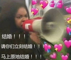  当流行语被翻译成文言文,瞬间高大上了