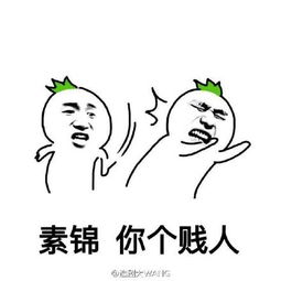  微信恶搞搞笑表情包