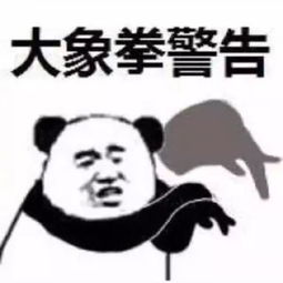  表情包功夫警告鹤拳龟拳大象拳警告