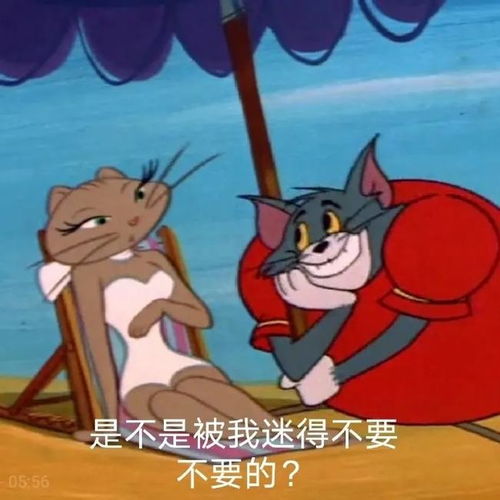  表情包搞笑表情包神器,情多去未得