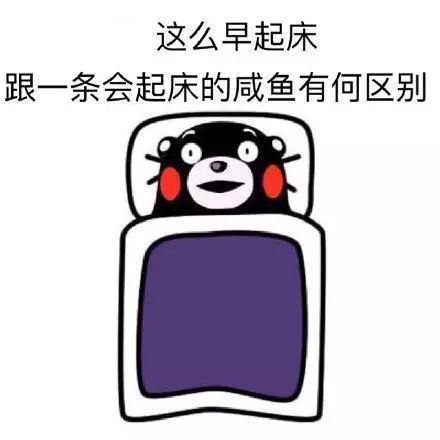  最低12c极寒冷空气即将杀到海南更可怕的是连续一周......