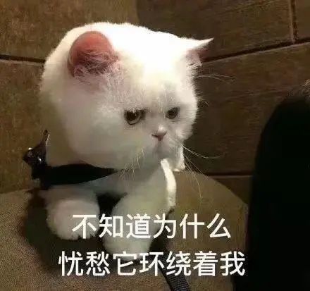  4年经验裸辞2个月,40场面试一路的心态变化及经验总结