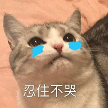  寻人启事这位老爷子你帮衢州获奖啦