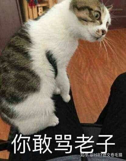 玩蛇表情包主人