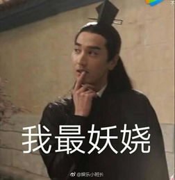  赵又廷夜华你怎么了