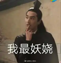  赵又廷夜华你怎么了