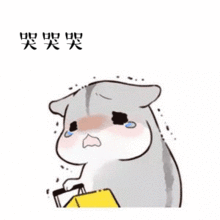  芜湖今天会下场雪吗