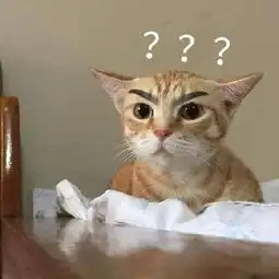 发表情表情包大全微信表情包qq表情包fabiaoqing.com 发表情表情包大全微信表情包qq表情包fabiaoqing.com