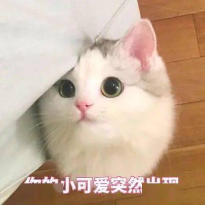  他枪战打的溜,视频做的好