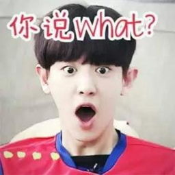 今日关注这可能是最奇葩的交通罚单了,开罚单的人被倒罚3万块 今日关注这可能是最奇葩的交通罚单了,开罚单的人被倒罚3万块