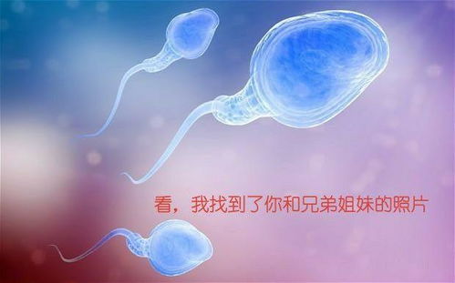 胃疼的表情包卵细胞