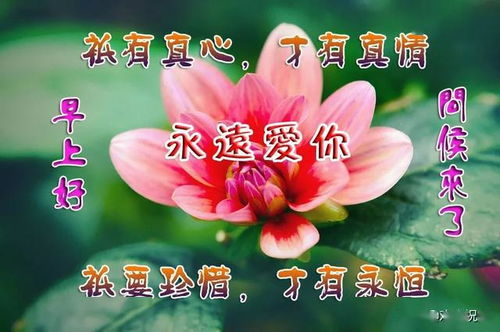  人生,没有回头路感情,无法删除重启,早安