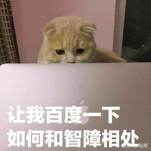  我有10000个怼人表情包,送你要不要