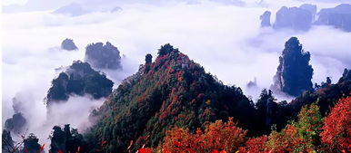  门票降价景区增至314个5a超120个,逾70个降两成