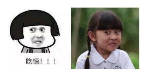 微胖小女孩表情包原型