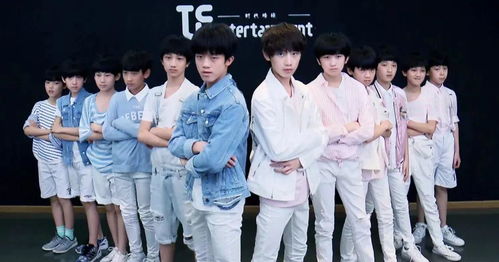 tf家族表情包师弟