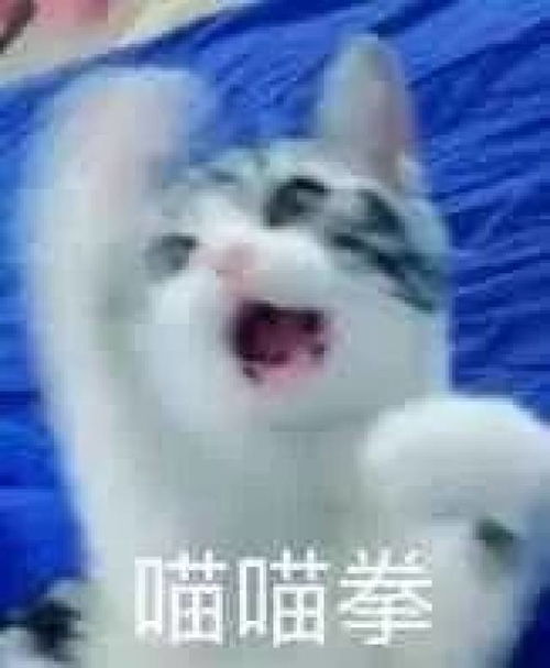  七夕连台风都有伴了,你还是一个人吗斗图表情包推送搞笑频道