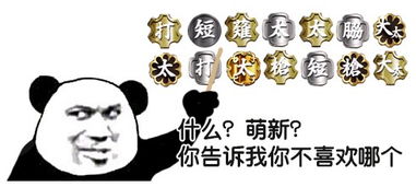  刀剑乱舞错别字纠正系列如此表情包