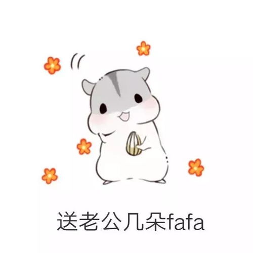  仓鼠套路表情包男朋友生气了该怎么哄