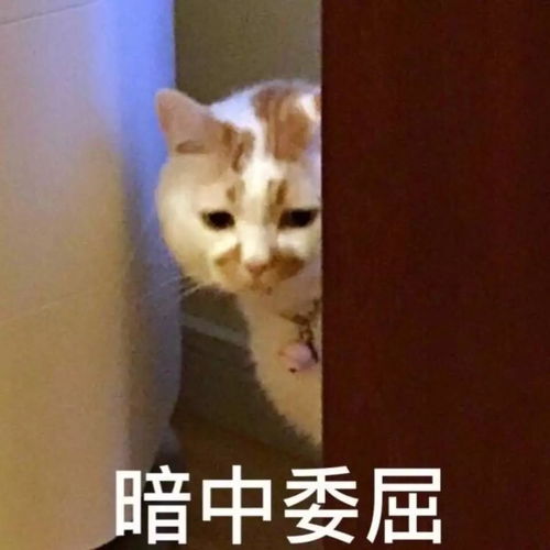  富阳人的国庆长假可能要泡汤了