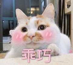  别人家的喵系列表情包