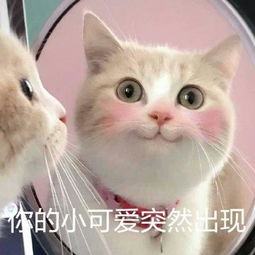  关于小可爱的表情包35张我是你的小可爱吗