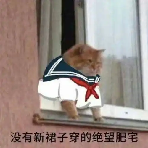  每个jk最后都会成为lo娘,请问这是否是普遍现象原因为何