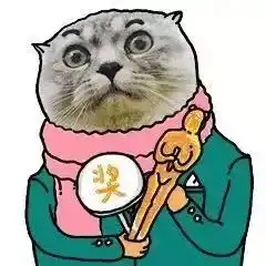  欢迎收看高速上那些事,奇葩来了