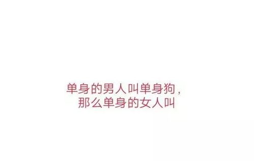 开心一刻笑话昨晚上和老婆吵架了,一上午不理我 开心一刻笑话昨晚上和老婆吵架了,一上午不理我