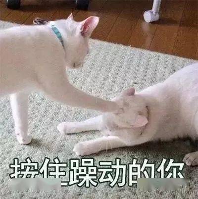  紧急提醒双11前,这些产品要小心