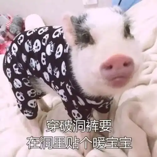 不要朋克养生,秋季保养好时节,可是不能错过了 不要朋克养生,秋季保养好时节,可是不能错过了