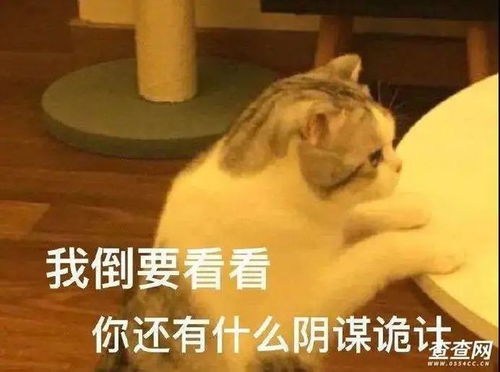  防不胜防淮南电诈一周高达86次共计竟达465万元
