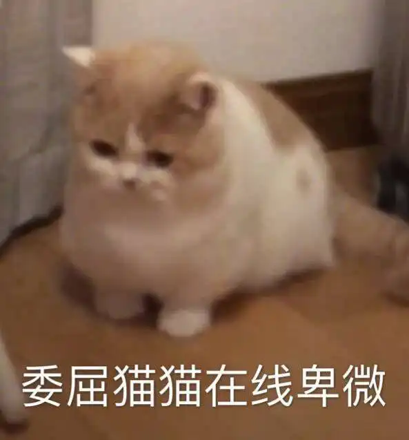 娇俏大小姐x深情隐忍养子豪门青梅竹马先婚后爱大家有看过安山吗有无排雷 娇俏大小姐x深情隐忍养子豪门青梅竹马先婚后爱大家有看过安山吗有无排雷