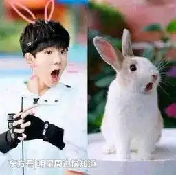 娱乐圈中撞脸动物表情的明星,网友王源的样子绝对会萌到你 娱乐圈中撞脸动物表情的明星,网友王源的样子绝对会萌到你